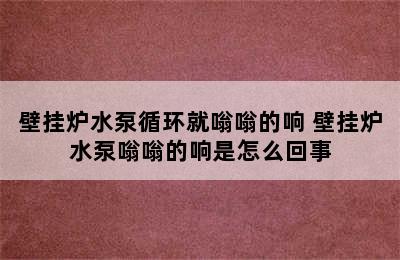 壁挂炉水泵循环就嗡嗡的响 壁挂炉水泵嗡嗡的响是怎么回事